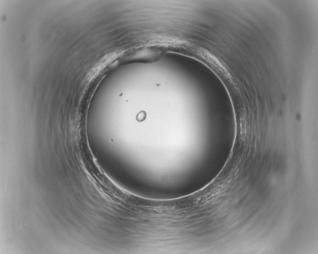 X0000060800436200511101423