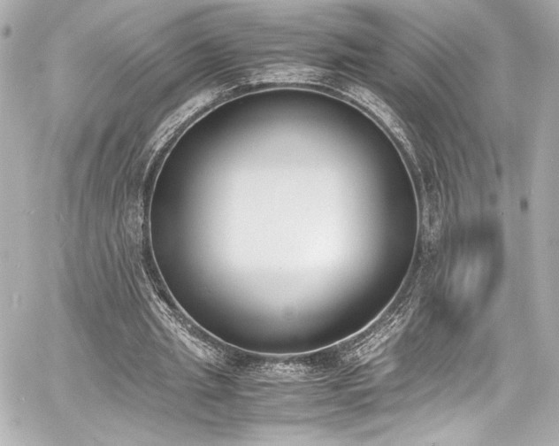 X0000060800437200511101423