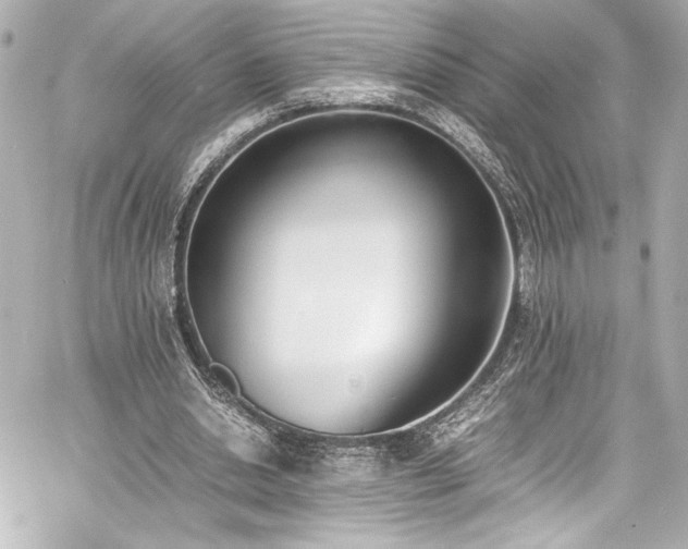 X0000060800438200511101423