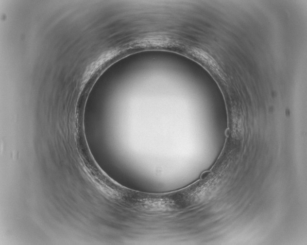 X0000060800439200511101423