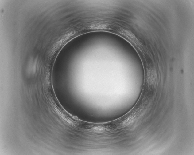 X0000060800441200511101423