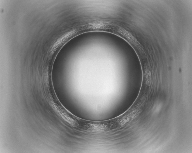 X0000060800442200511101423