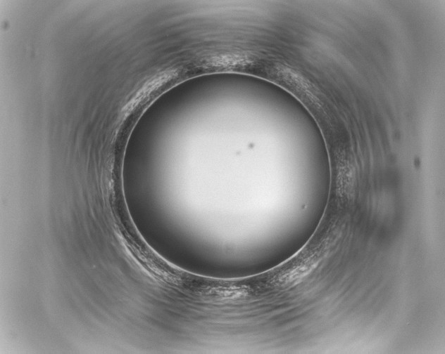 X0000060800443200511101423