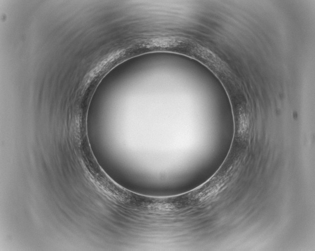 X0000060800444200511101423