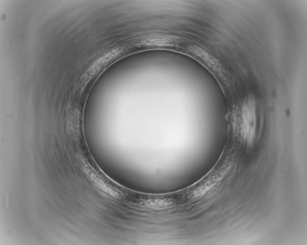 X0000060800445200511101423