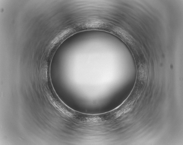 X0000060800446200511101423