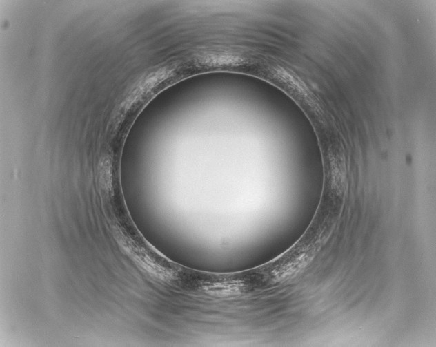 X0000060800447200511101423