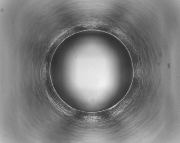 X0000060800448200511101423