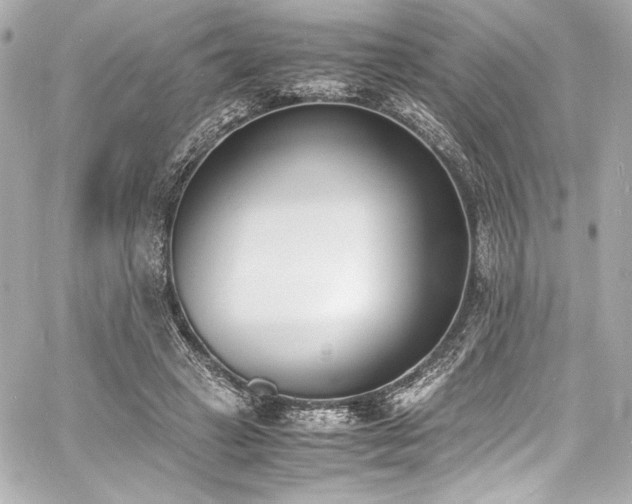 X0000060800449200511101423