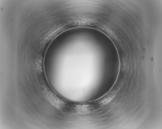 X0000060800450200511101423