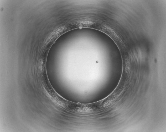 X0000060800451200511101423