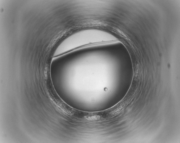 X0000060800452200511101423