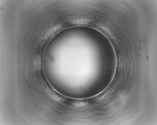 X0000060800453200511101423