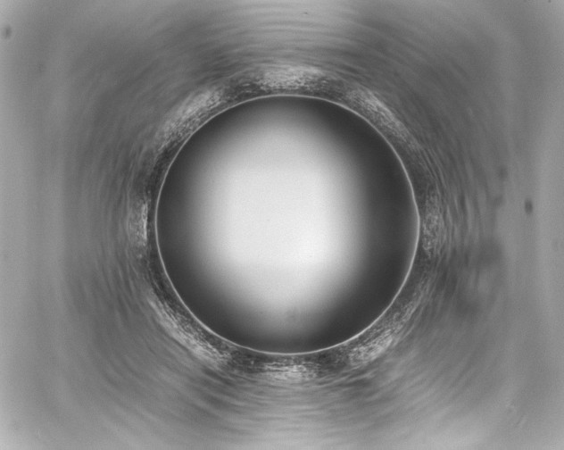 X0000060800454200511101423