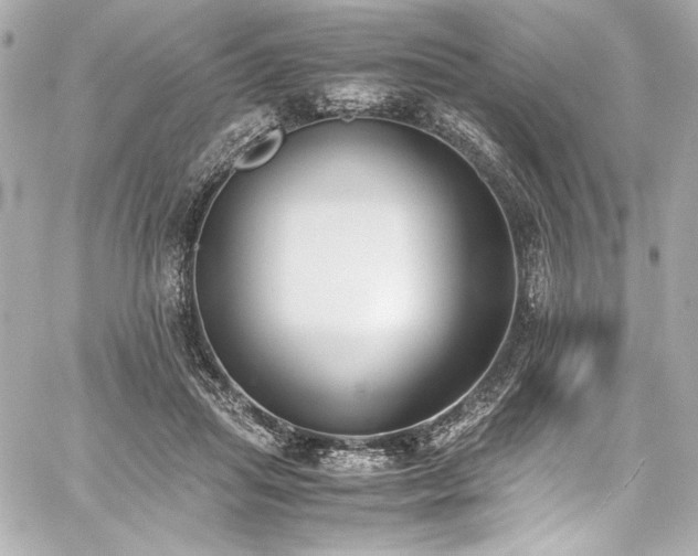 X0000060800455200511101423