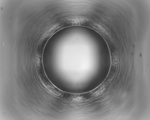 X0000060800456200511101423