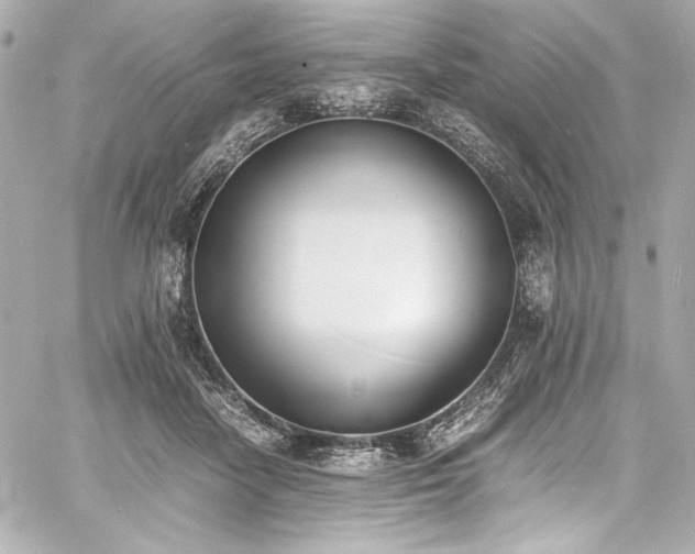 X0000060800458200511101423