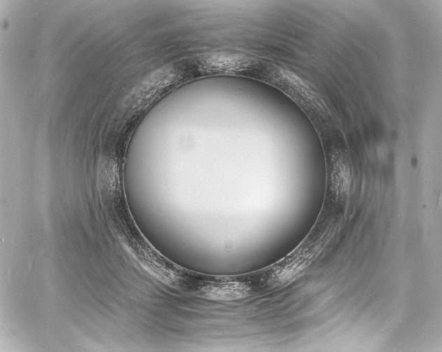 X0000060800459200511101423