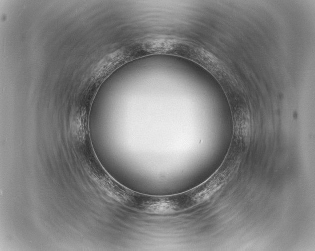 X0000060800460200511101423