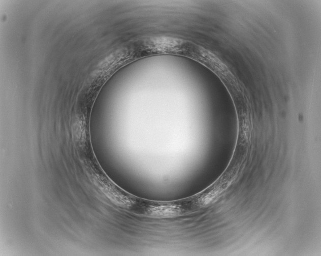 X0000060800461200511101423