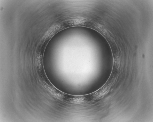 X0000060800462200511101423