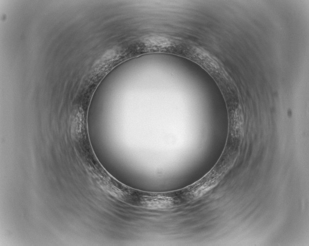 X0000060800463200511101423