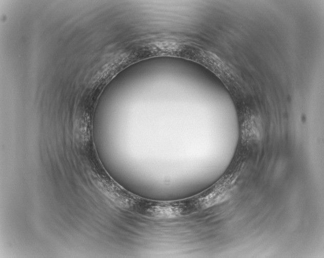 X0000060800464200511101423