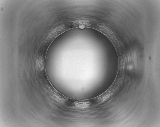 X0000060800465200511101423