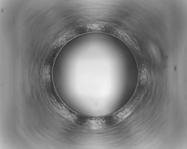 X0000060800466200511101423