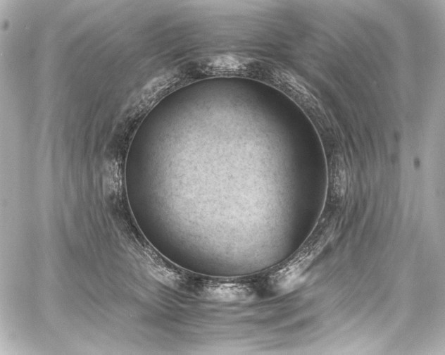 X0000060800467200511101424