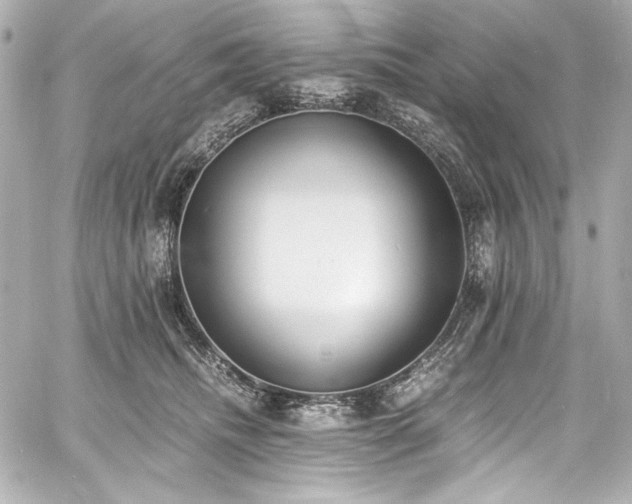 X0000060800468200511101424