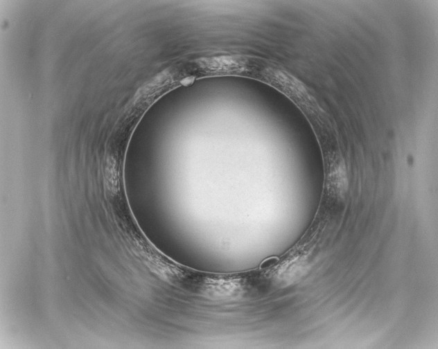 X0000060800469200511101424