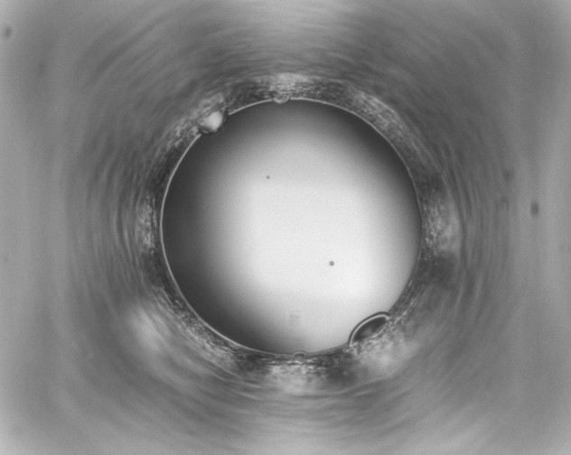 X0000060800470200511101424