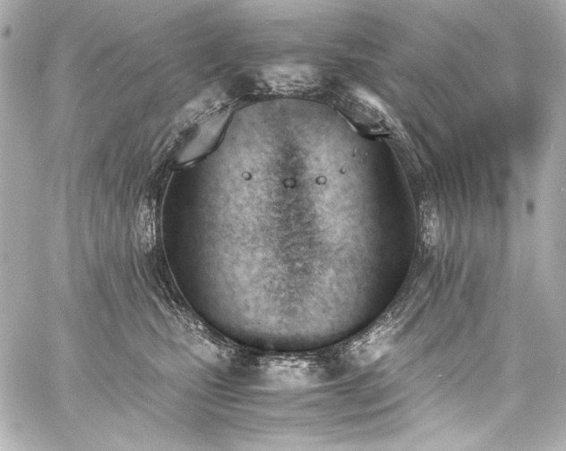 X0000060800471200511101424