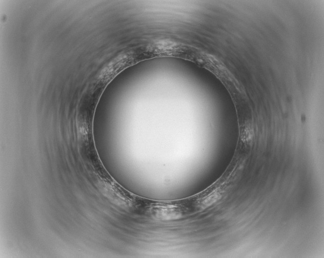 X0000060800472200511101424