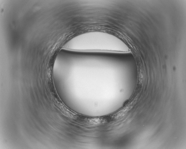 X0000060800473200511101424