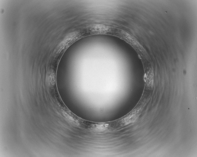 X0000060800474200511101424