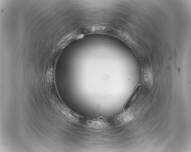 X0000060800475200511101424