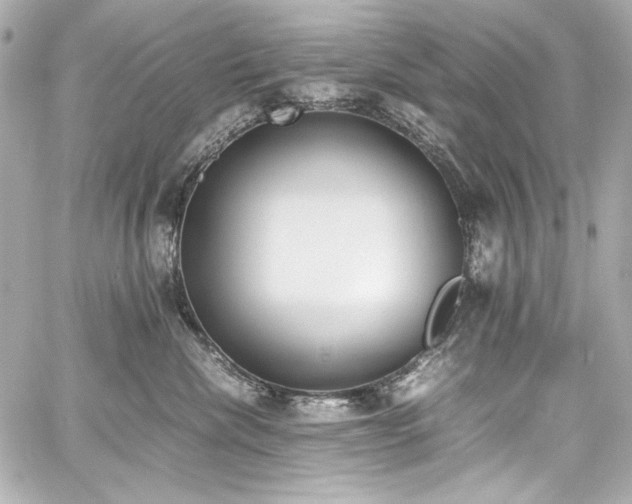 X0000060800476200511101424