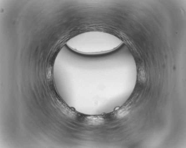 X0000060800477200511101424