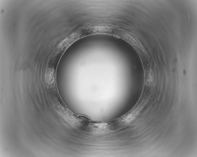 X0000060800478200511101424