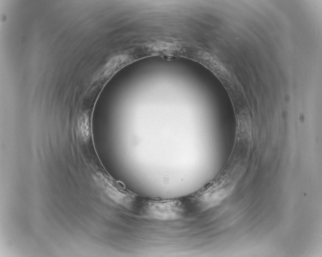 X0000060800479200511101424