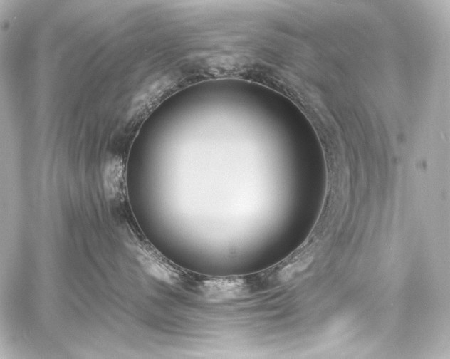 X0000060800480200511101424