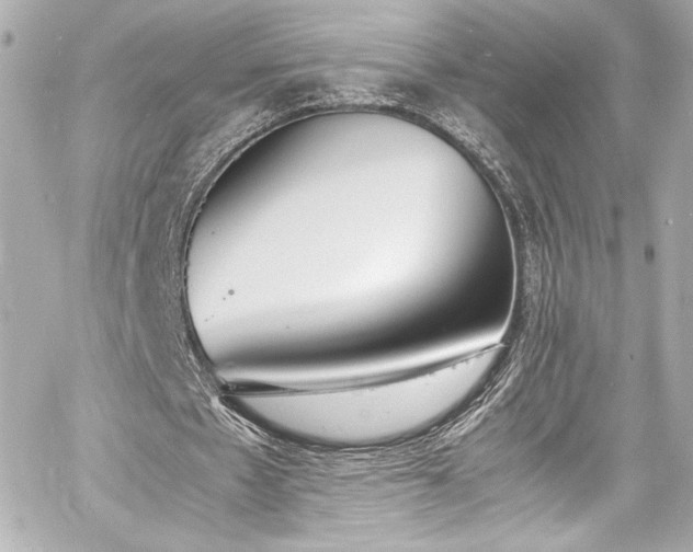 X0000060800481200511101423