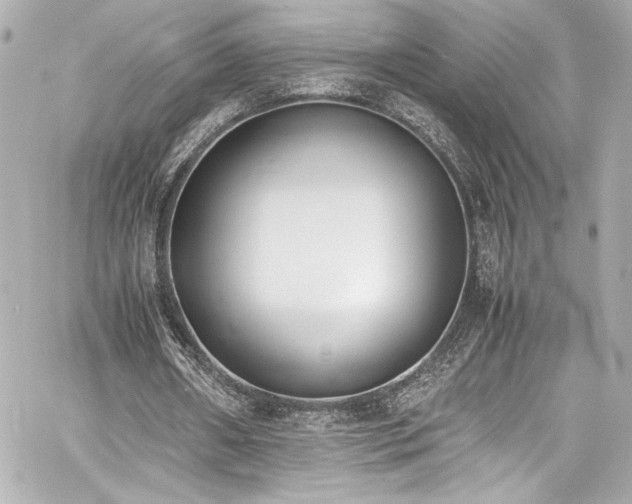 X0000060800482200511101423