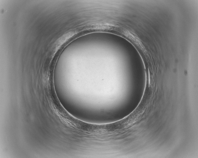 X0000060800483200511101423