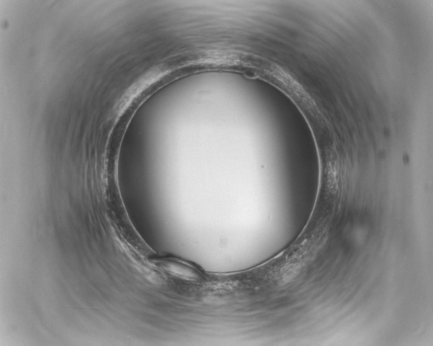 X0000060800484200511101423