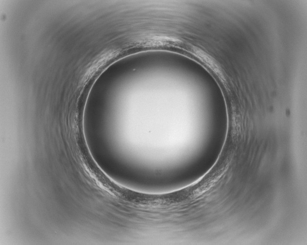 X0000060800485200511101423