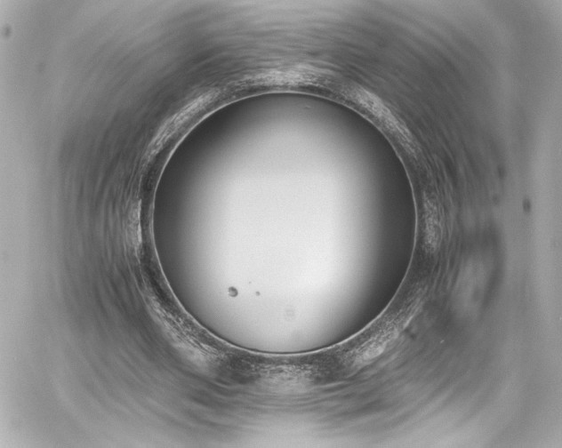 X0000060800486200511101423