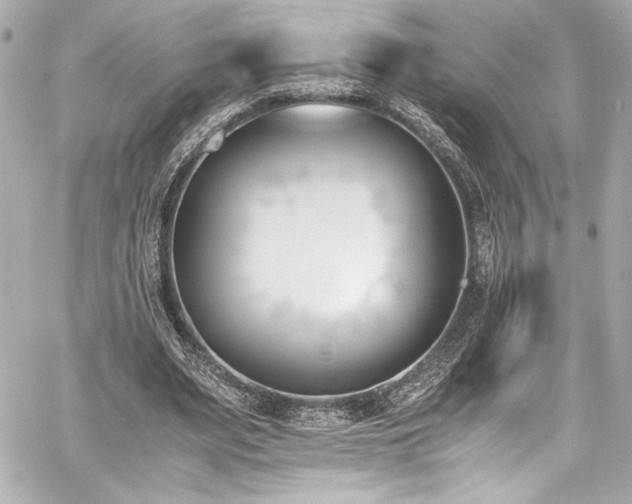 X0000060800487200511101423